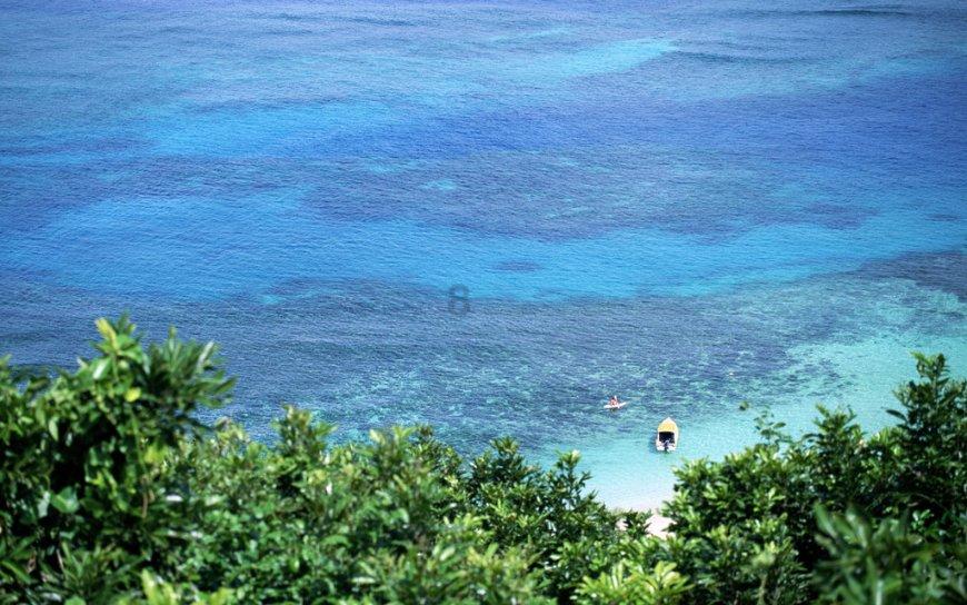 香蜜沉沉烬如霜装扮